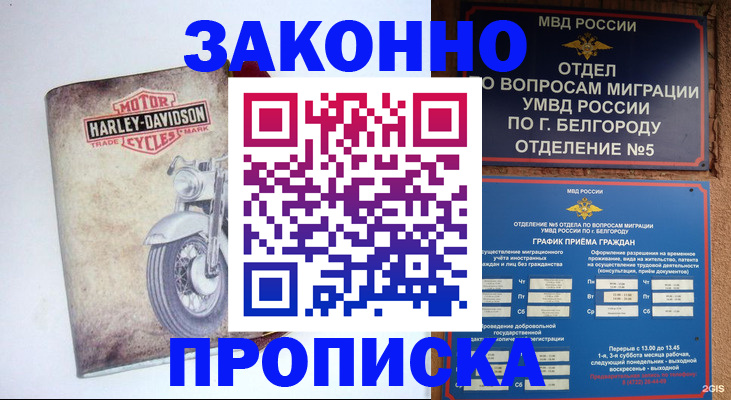 прописка для школы в Киржаче